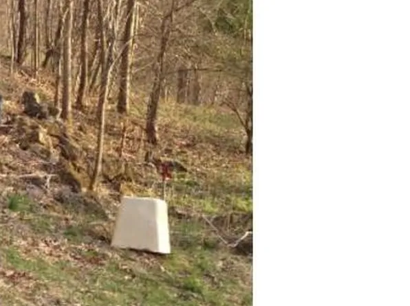 73 Harmony Ln, Bakersville, NC 28705