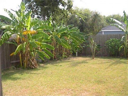 5th image of 12915 Pale Ivy Ln