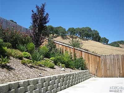 Low maintenance yard