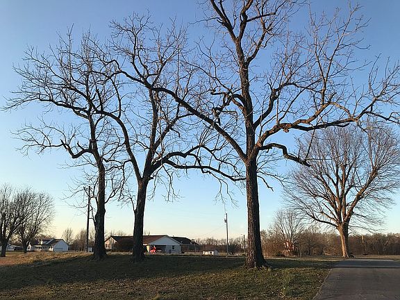 5th image of 5610 State Route 121 N