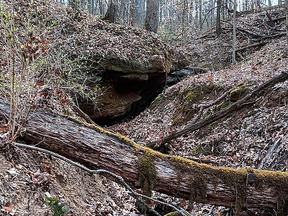 2nd image of 24 Garland Creek Rd