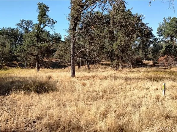 146 Revis Rd Lot 146, Coarsegold, CA 93614