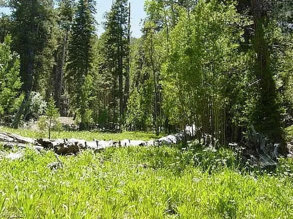 Deer, Las Vegas, NV 89124