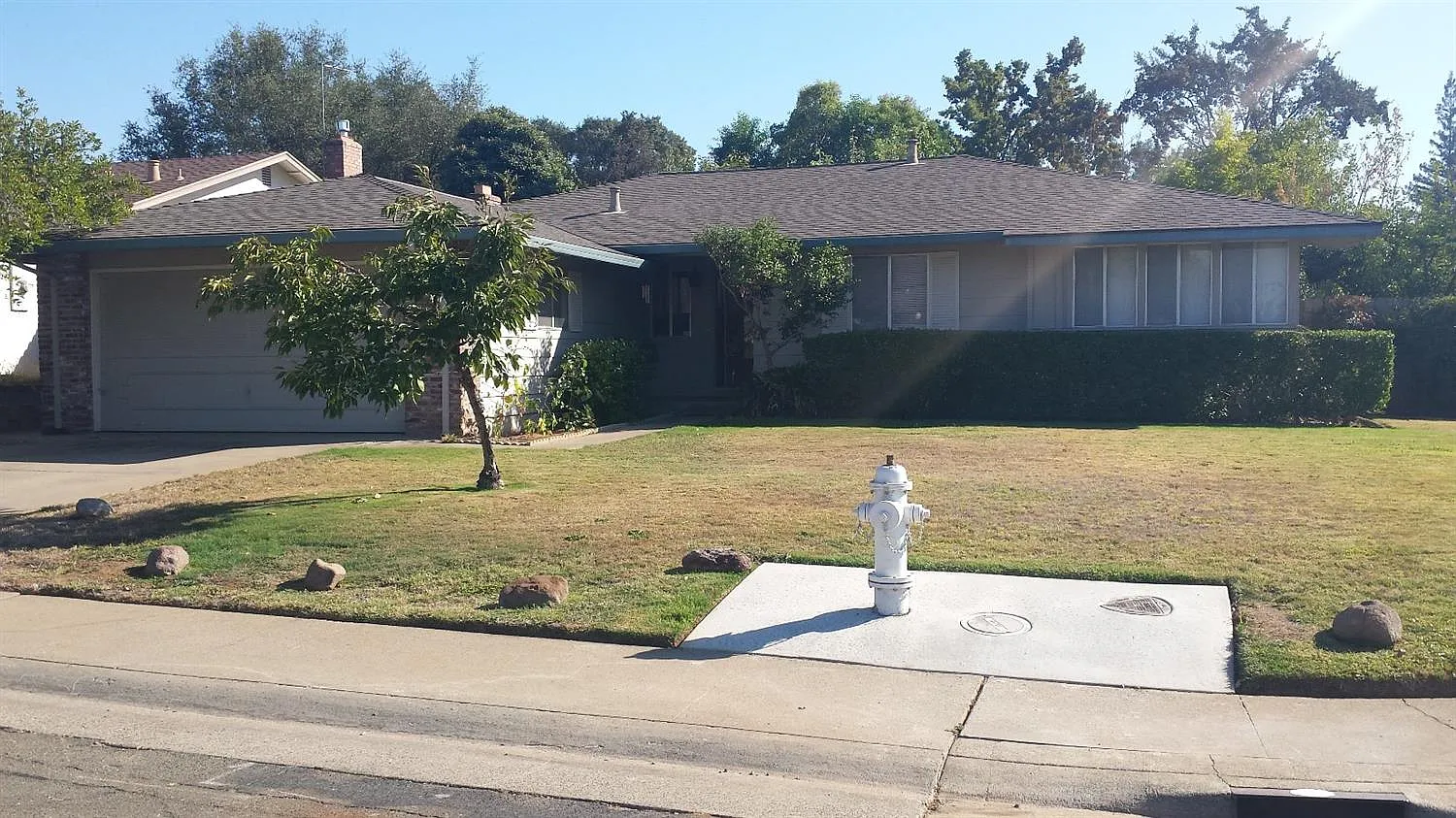 6900 Pintado Ct photo 1
