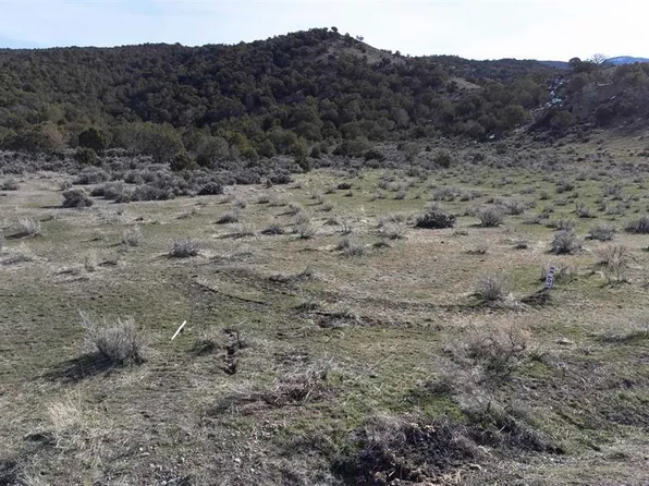 TBD Lot 23 7250 Road, Montrose, CO 81403