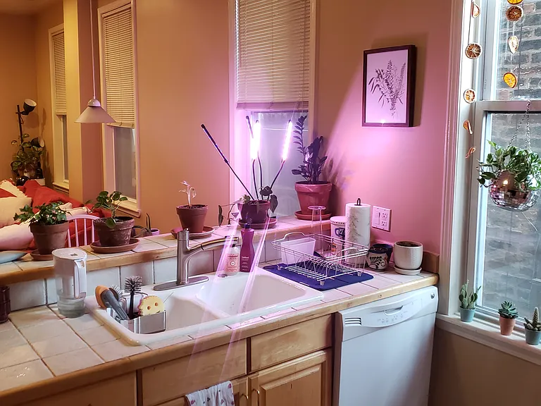 kitchen with dishwasher