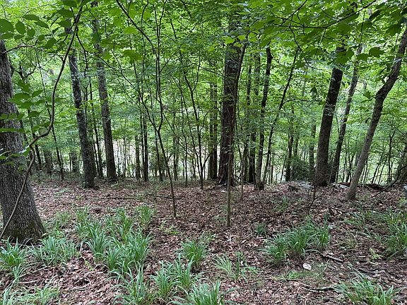 3rd image of 555 Mountainbrook Rd