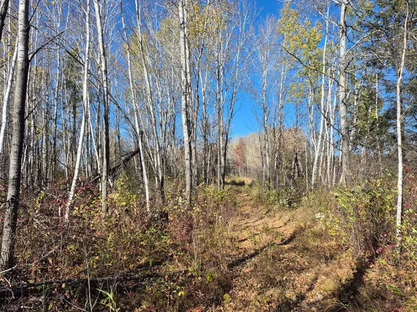 Henry Rd, Finlayson, MN 55735