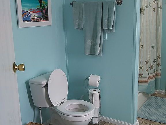 Master bath 