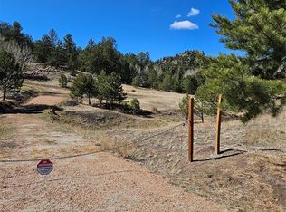 717 Canyon Dr, Florissant, CO 80816
