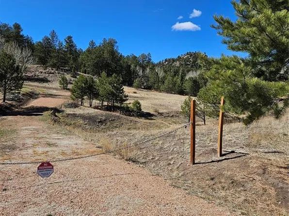 717 Canyon Dr, Florissant, CO 80816