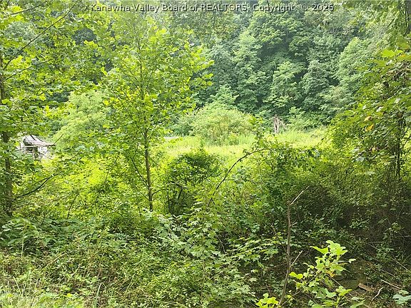 3rd image of 1341 Mulberry Fork Rd