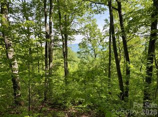 0 Carpenter Rd, Bryson City, NC 28713