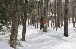 4th image of 0 Birch Hill Rd