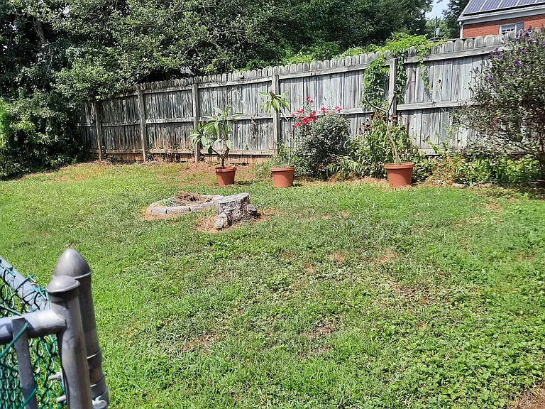 back garden