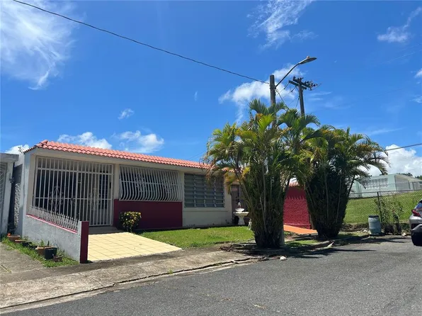 B1 Julian Rivera Aly #B-1, Juncos, PR 00777