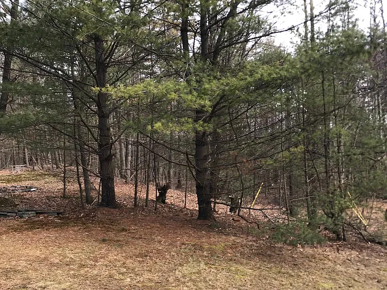 51 Saugerties Rd — Photo 28