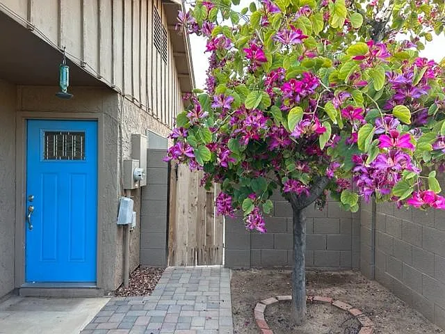1418 E El Parque Dr