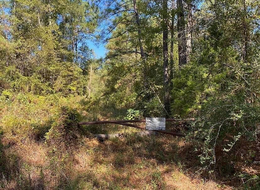 2nd image of Longville Rd