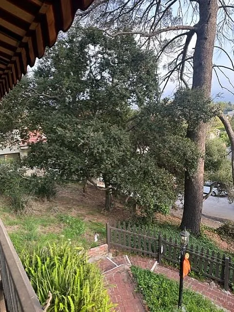 View of nature from your living room balcony.