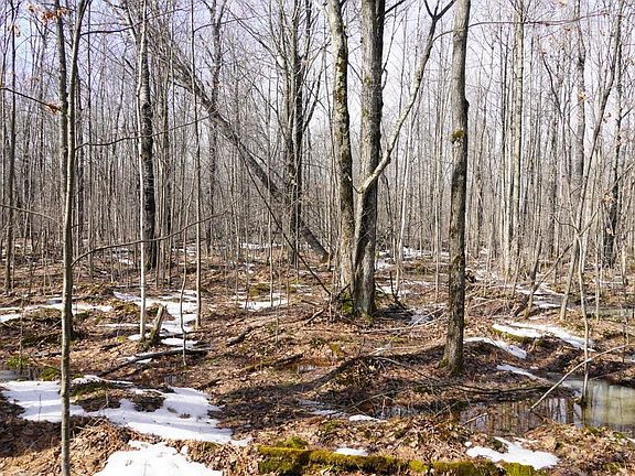 5th image of 40+/- AC Kline Rd Acres