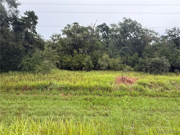 8935 S Pleasant Grove Rd, Inverness, FL 34452