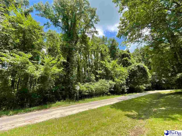 Cottingham Blvd S, Bennettsville, SC 29512