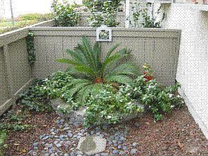 front yard