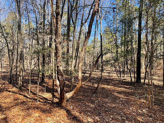 3rd image of 751 Old Kennel Rd