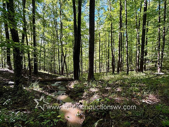 3rd image of Rock Cave Rd