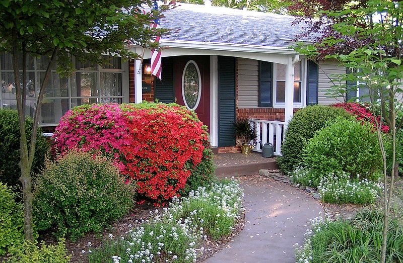 Front View