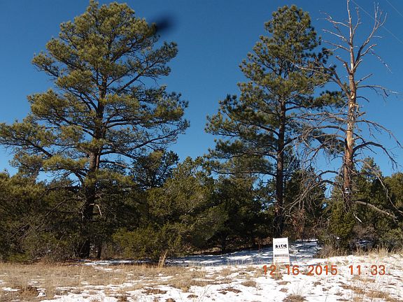 4th image of 312 Tract