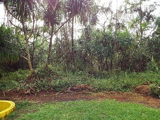 5th image of Ohiki St Lot 1480