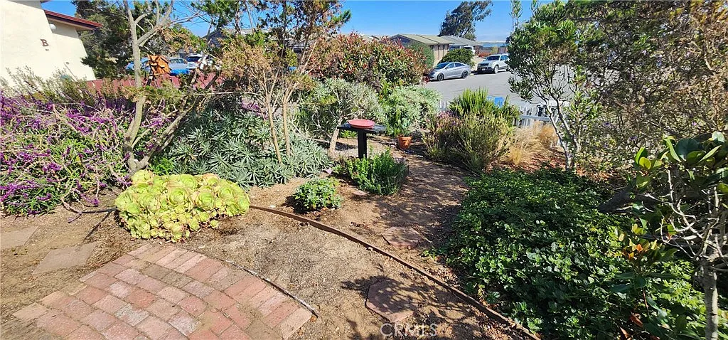 2 bed, 1100 sqft, $3,000 — Photo 2