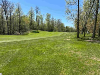 8 White Tail Dr, Bellaire, MI, 49615