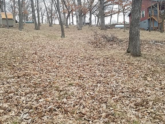 4th image of 18008 Cardinal Cir