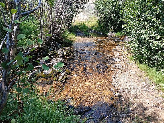 Dingley Creek