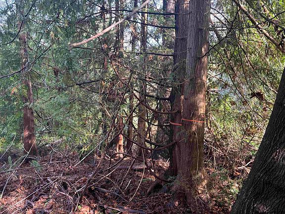 2nd image of LOT 39 Sandy Hook Rd