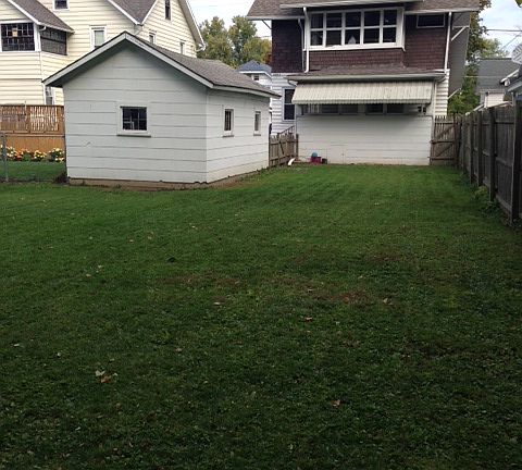 View from Back of Yard 2