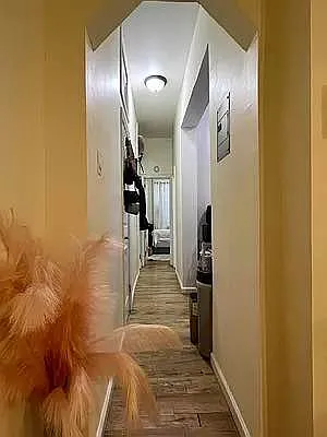 Rented by Compass | media 14