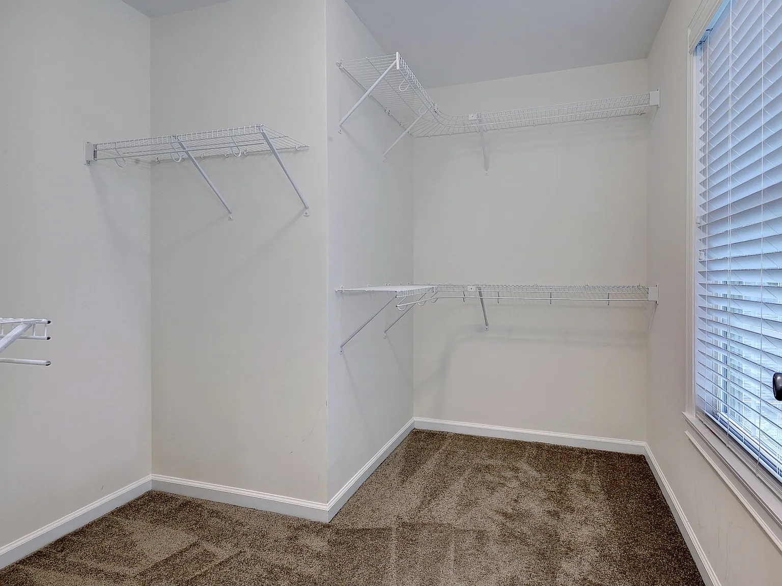 4 bed, 2.5 bath, 1779 sqft, $2,900 — Photo 3