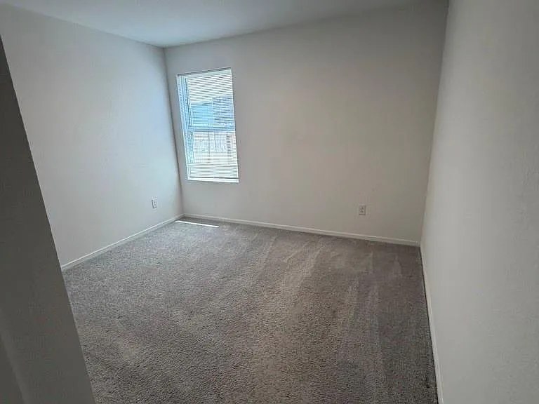 26826 Zebra Grass Dr — Photo 10