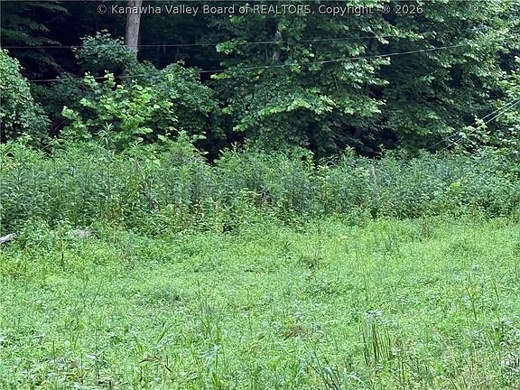 4th image of Upper Mud River Rd
