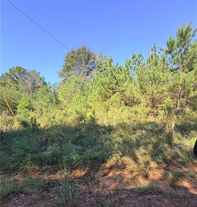 2nd image of 0 McCall Rd