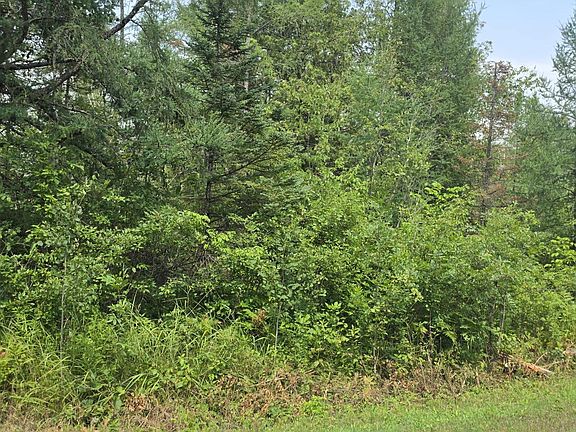 4th image of 38.10 ACRES OLD RAIL ROAD