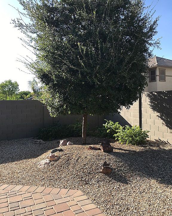 2nd image of 3516 E Mesquite St