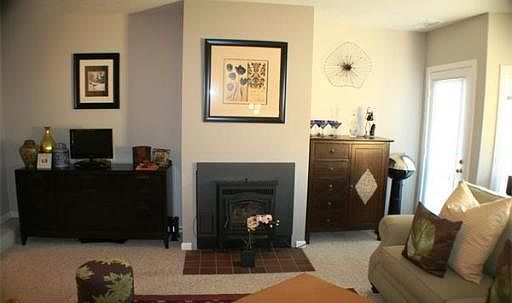 Pellet Stove Firepace