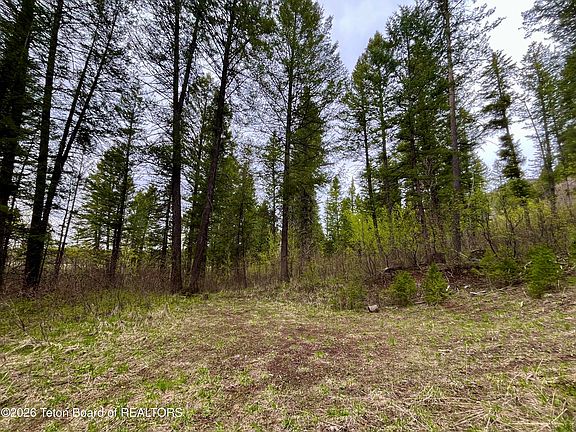 2nd image of Lone Star Rd