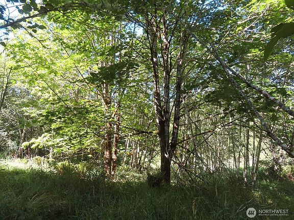 3rd image of 0 Salmon Creek Road