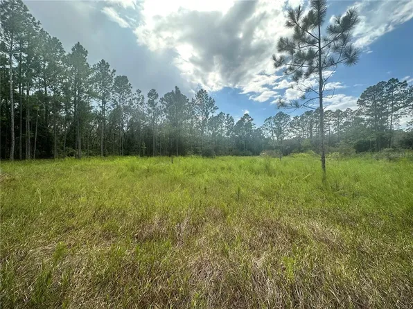 Cleft Rock St Lot 3, Webster, FL 33597